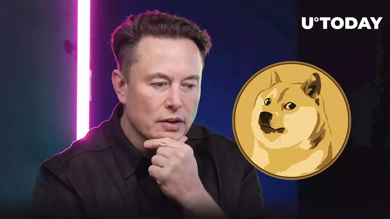 Dogecoin Keeps Plunging Amid Musk’s Early Twitter Debacle