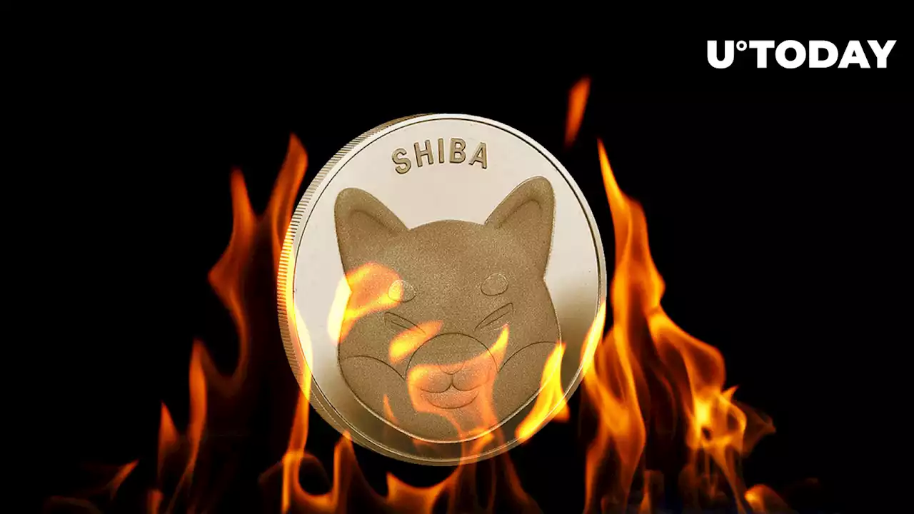 SHIB Burn Rate Up 5,800% as Shiba Inu Sets Key Milestone