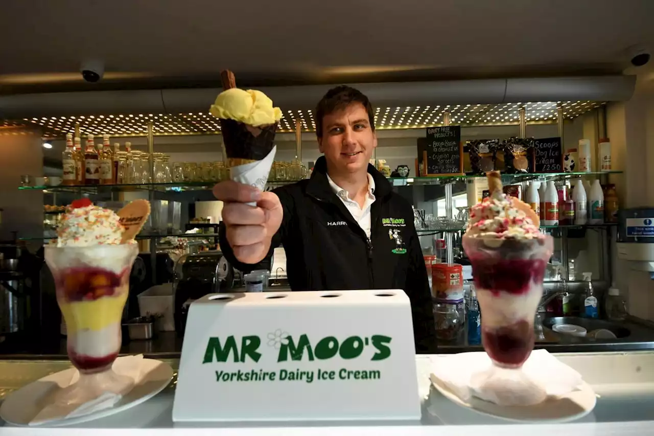 Mr Moo's, Skipsea: How a Yorkshire family farm was inspired to open an ice cream parlour by Ben & Jerry's