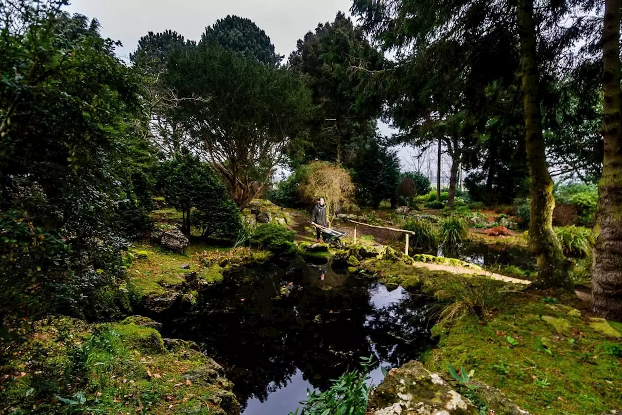 The hidden Yorkshire secret garden which offers a 'calm oasis' just outside of city centre