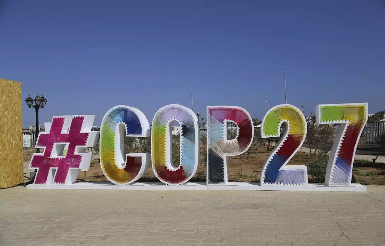 Une nouvelle alliance pour lutter contre la sécheresse en marge de la COP27