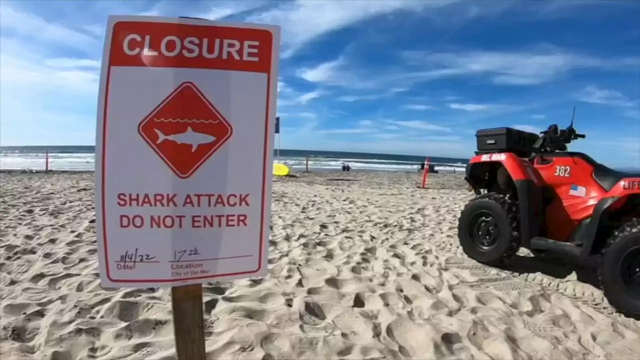 Del Mar shark attack: San Diego shark bite victim speaks out about terrifying experience