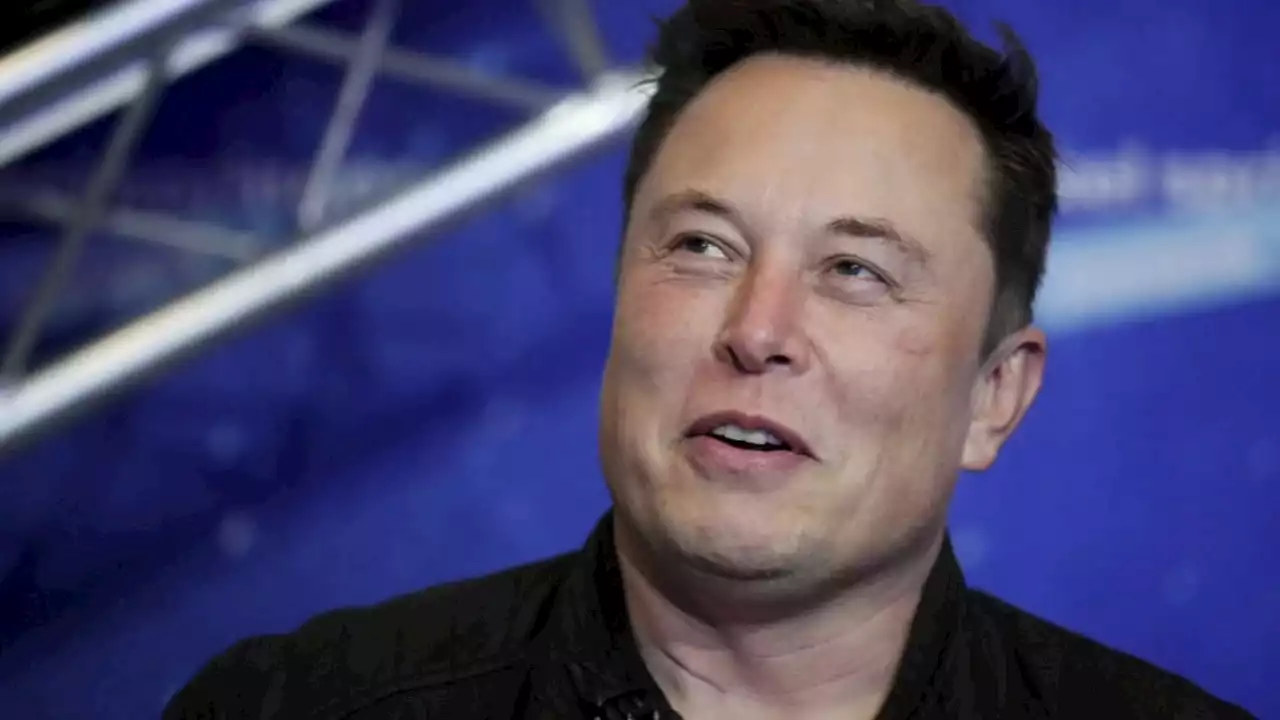 Elon Musk threatens to boot Twitter impersonators; Kathy Griffin's account suspended