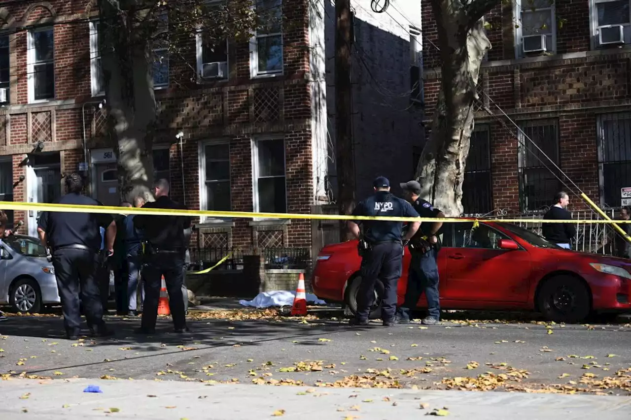 Brooklyn man fatally shot in face on residential block: NYPD | amNewYork