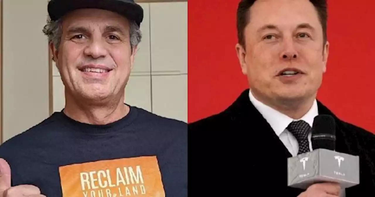 'You are destroying your credibility': Mark Ruffalo warns Elon Musk to let someone else run Twitter