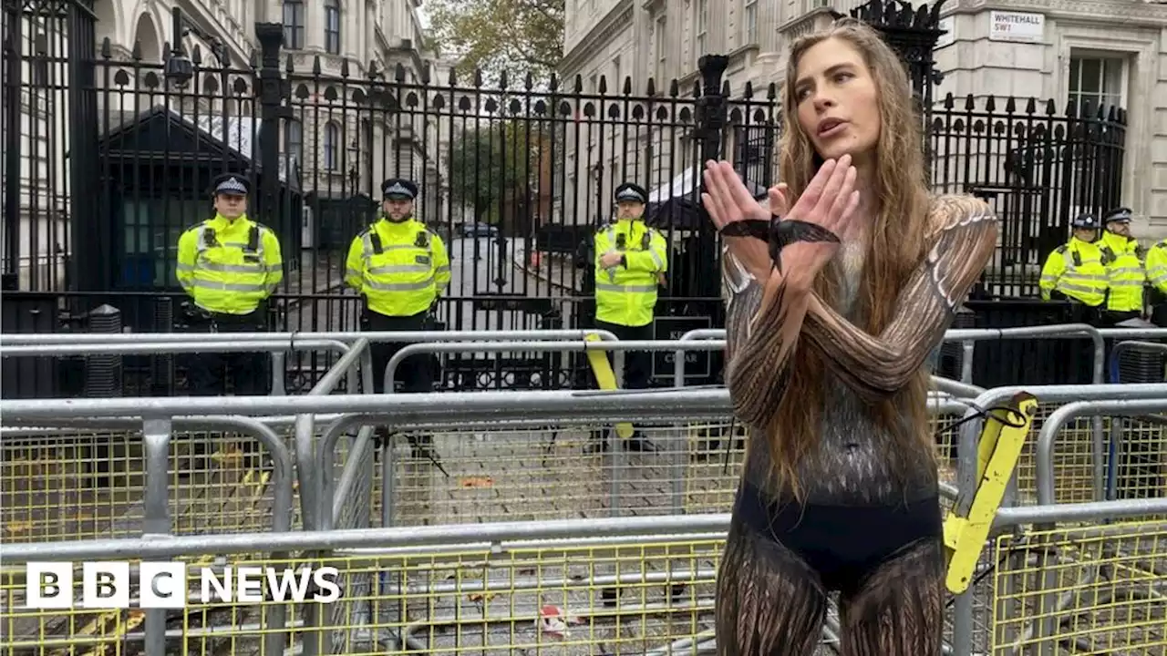 Woman marches through London in body paint to save birds