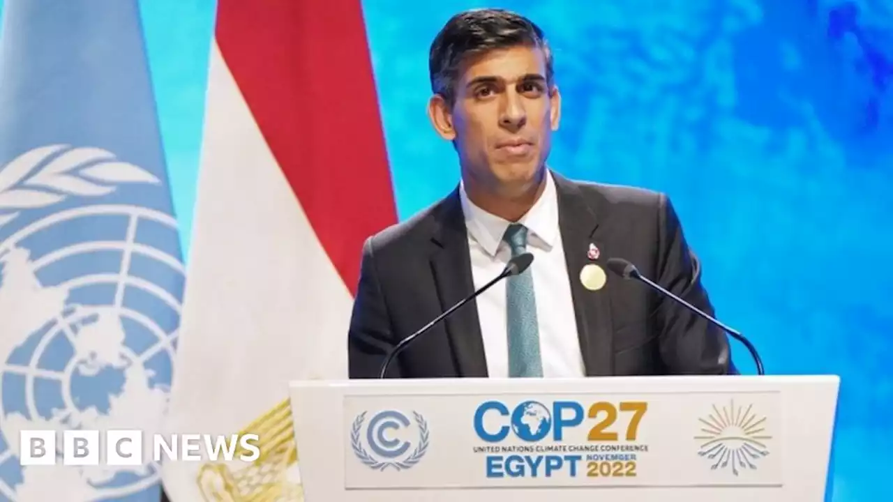 COP27: Ukraine a reason to act fast on climate change - Rishi Sunak