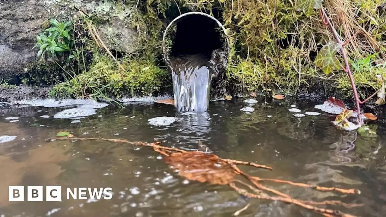 Council expresses concern over Hayling Island water pollution