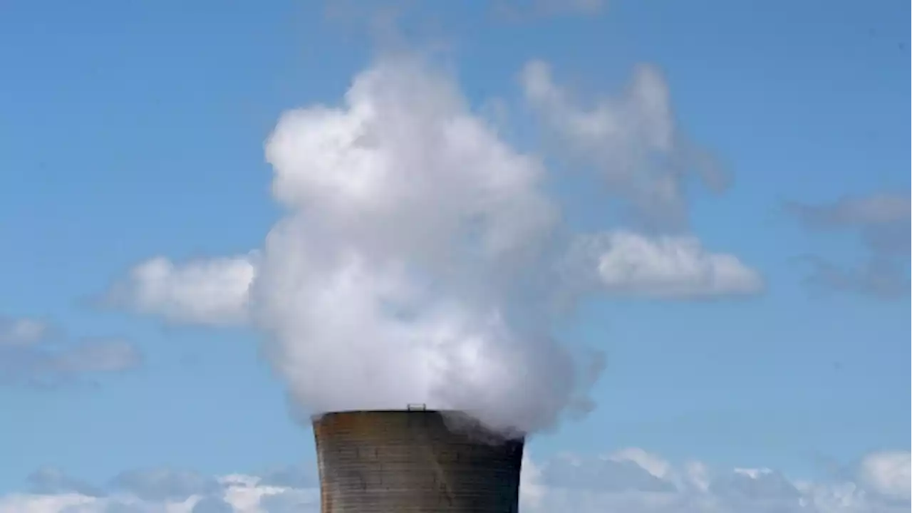 Canadian banks readying for carbon offsets to go big, even as doubts remain - BNN Bloomberg