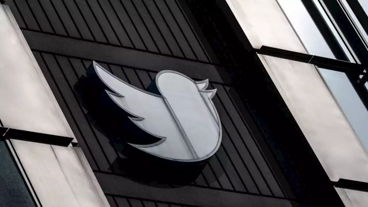Mastodon: What is the social network hailed as a Twitter alternative?