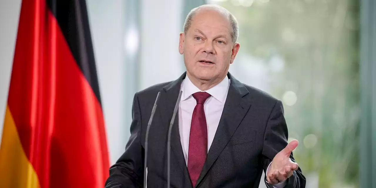 Summe verdoppelt: Scholz sagt eine Milliarde Euro zusätzlich für Waldschutz zu