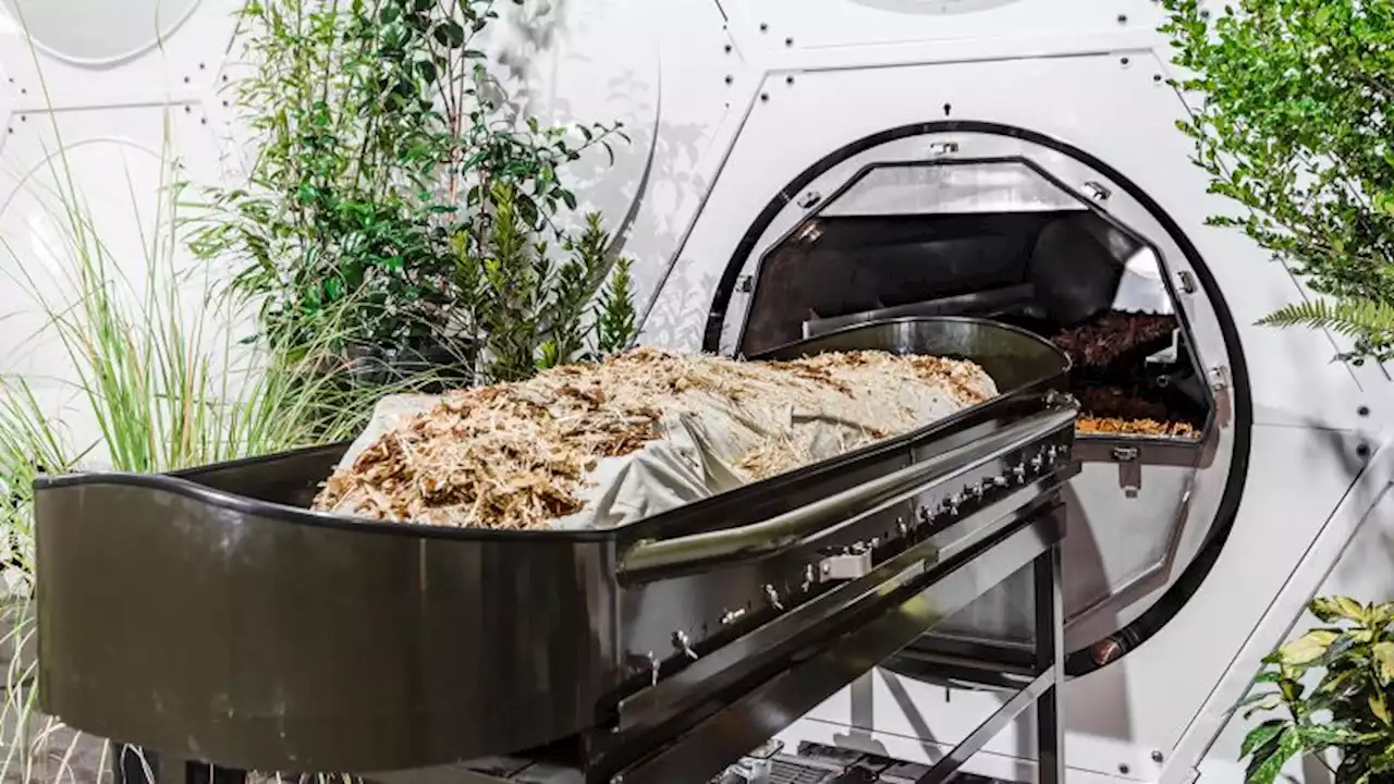 How human composting could reduce death's carbon footprint | CNN