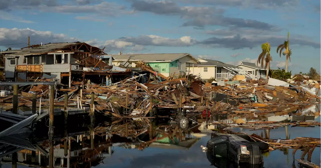 Ants, rats and roaches: Hurricane Ian's debris stirs up rise in pests in Florida