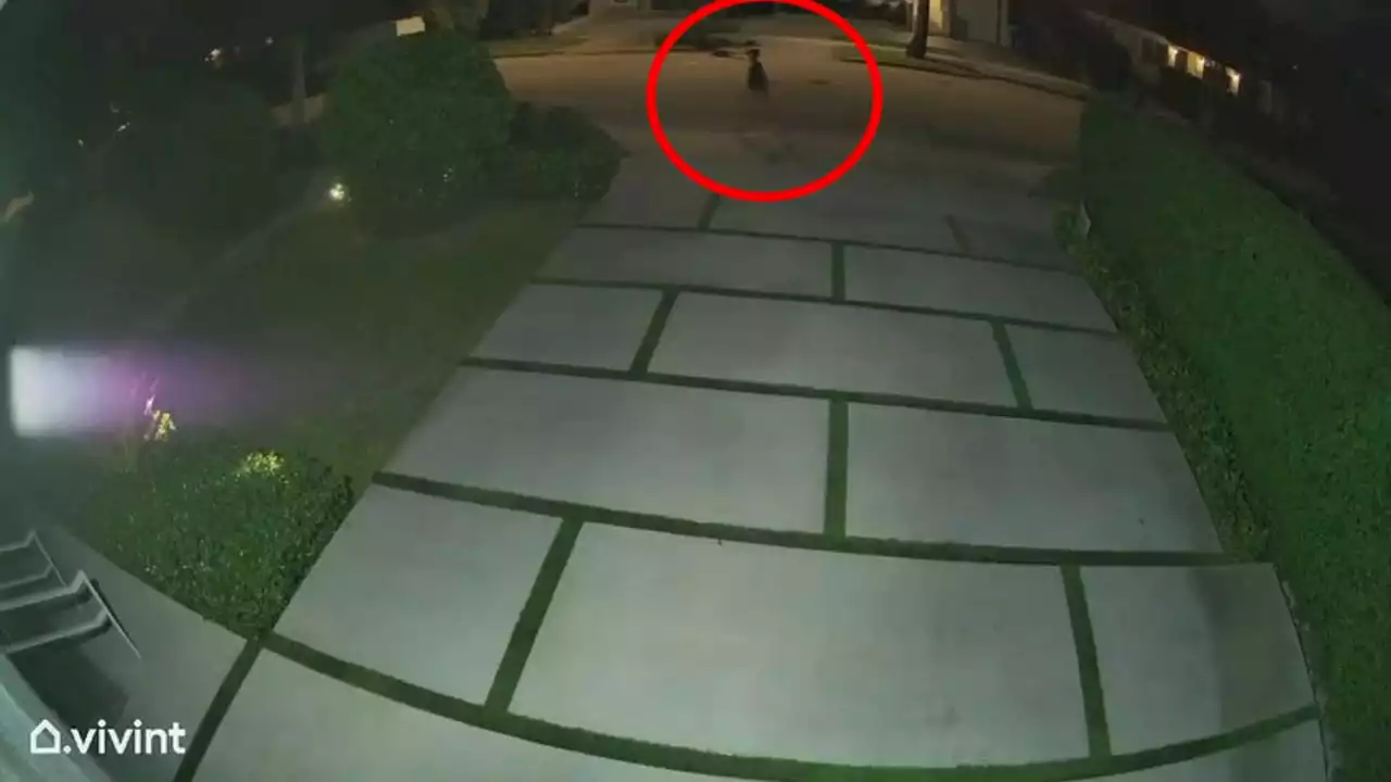 Terrifying Miami abduction attempt caught on doorbell camera