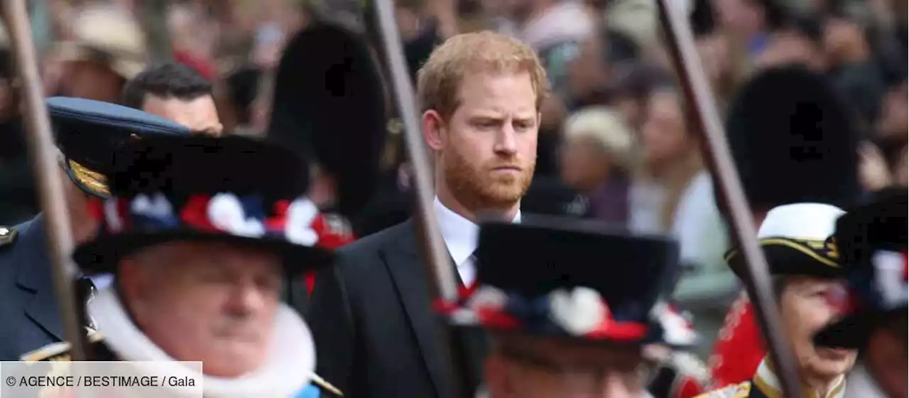 Le prince Harry déshonoré : cette décision humiliante prise par d’anciens soldats - Gala