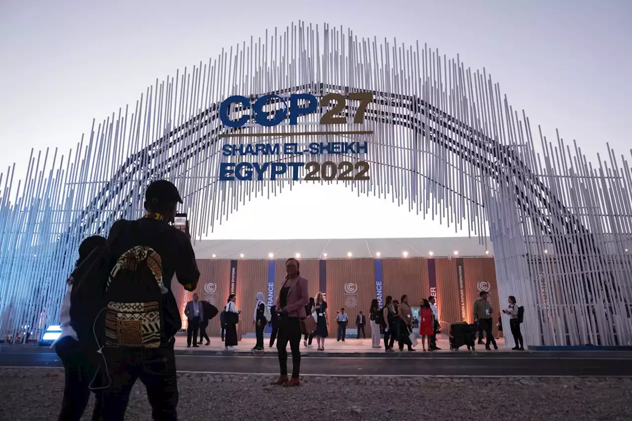 Globe Climate: A vibe check at COP27 in Egypt