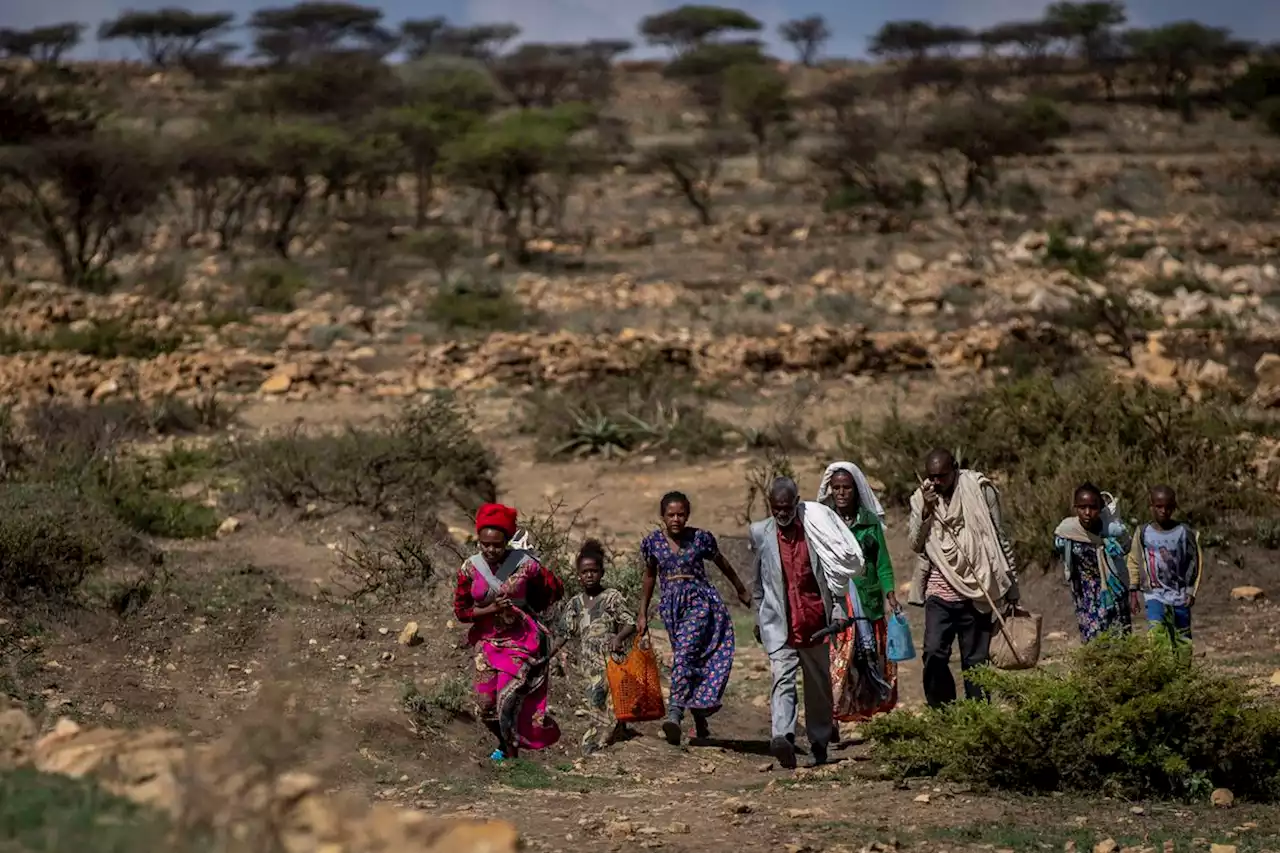 Recognize genocide in Ethiopia’s Tigray region, experts urge Canadian committee