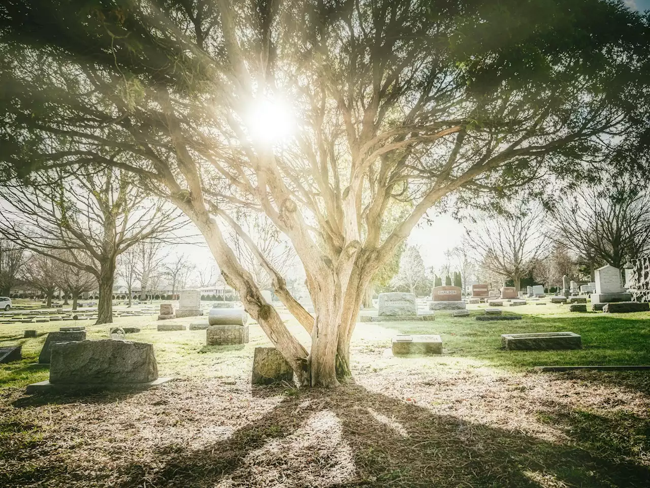 Los cadáveres en Portugal se están convirtiendo en momias y nadie sabe por qué