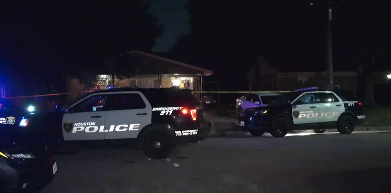 Argument over dog leads to fatal family shooting in north Houston, police say