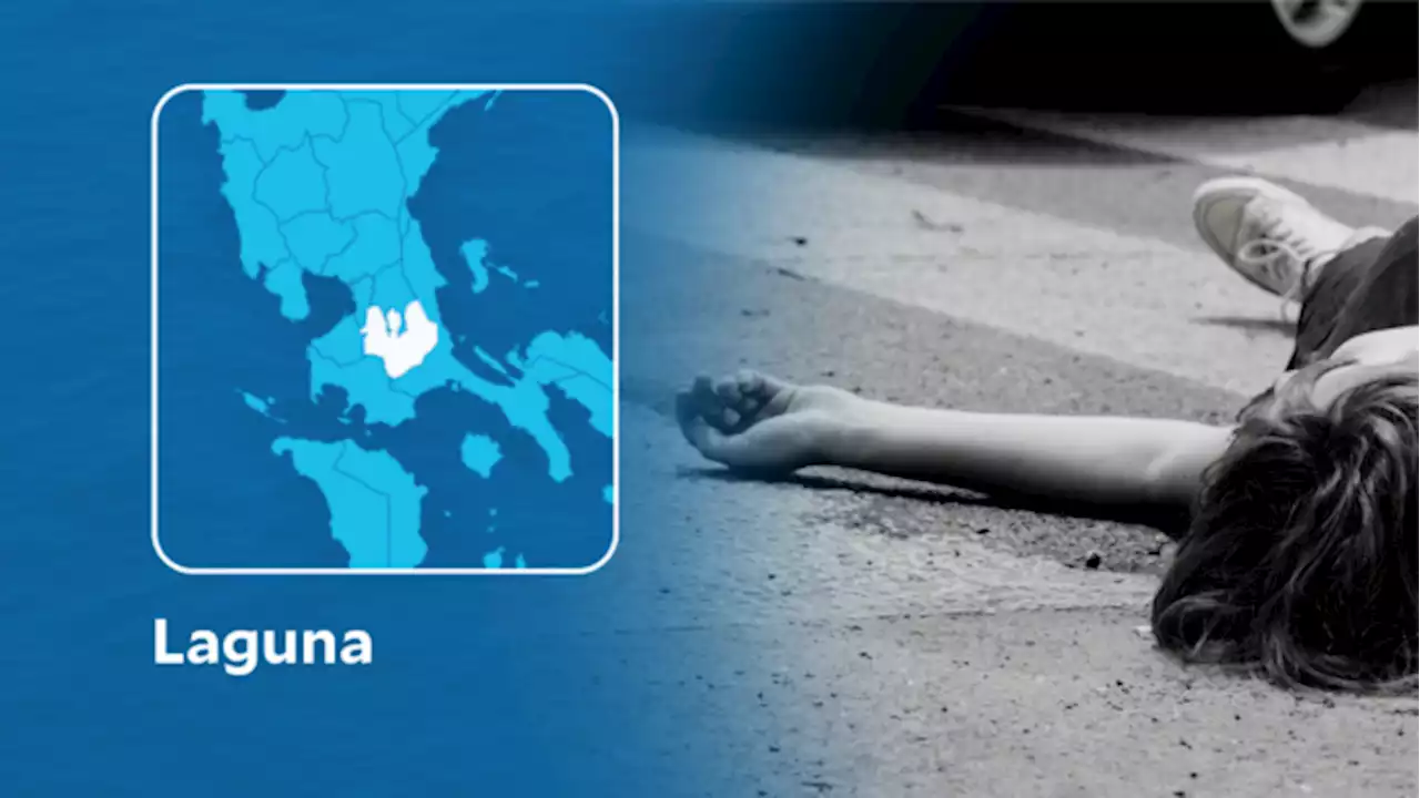 Woman killed in Laguna road mishap