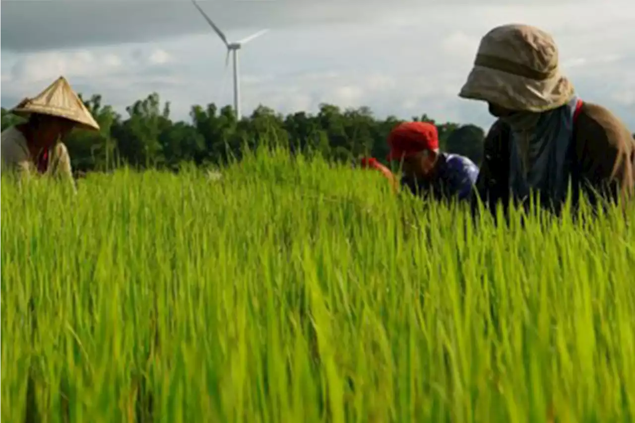 Philippines plans to buy 150,000 T fertilizer from China at $470/T —statement