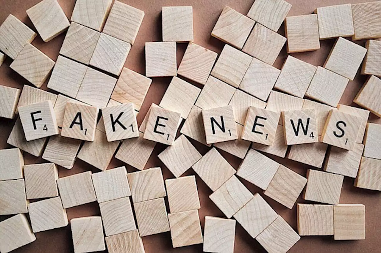 Three reasons why disinformation is so pervasive and what we can do about it