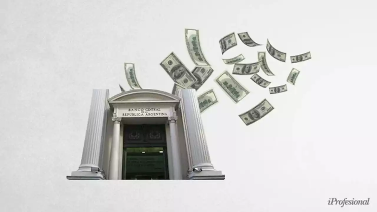 DÓLAR: ¿podrá el BCRA evitar sangría de reservas a fin de año?