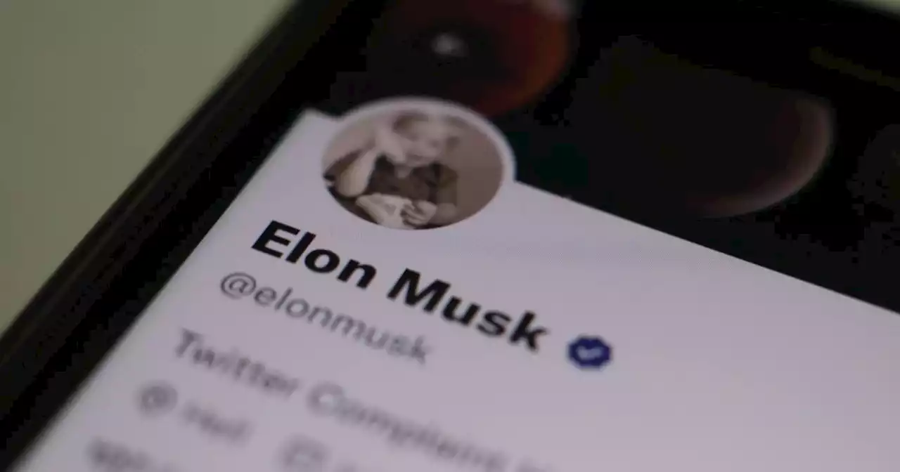 Musk aiming to make Twitter the ‘most accurate source of information about the world’