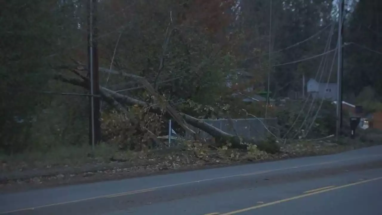 Snohomish County power outages lead to school closures, delays