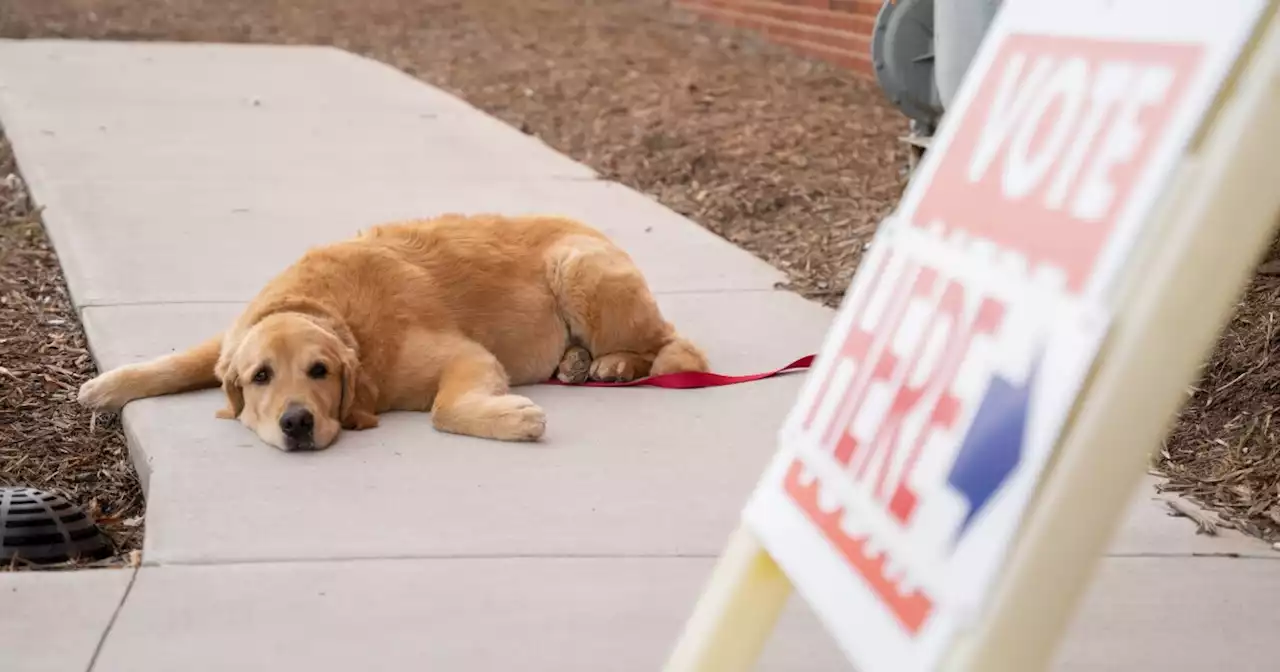 Be patient: This election is probably going to go on a while