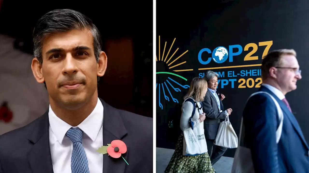 Rishi Sunak to call for ‘global mission for clean growth’ at Cop27