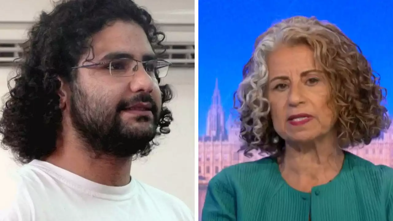 Alaa Abd El-Fattah is being 'left to die on the world stage', with Cop27 taking place while British activist is locked up in Egypt