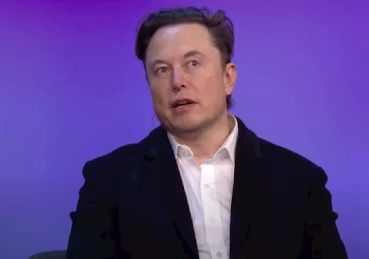 Musk: ‘I Recommend Voting for a Republican Congress, Given That the Presidency is Democratic’