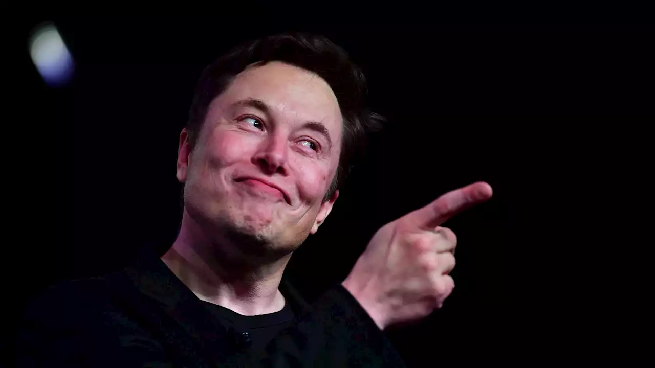 Vous renommer Elon Musk sur Twitter pourrait vous coûter cher