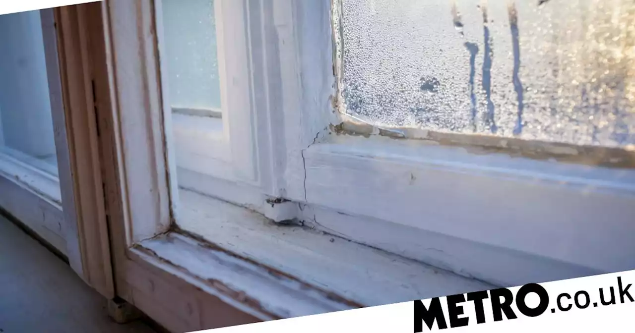 Closing windows to keep warm this winter 'increases health risk'