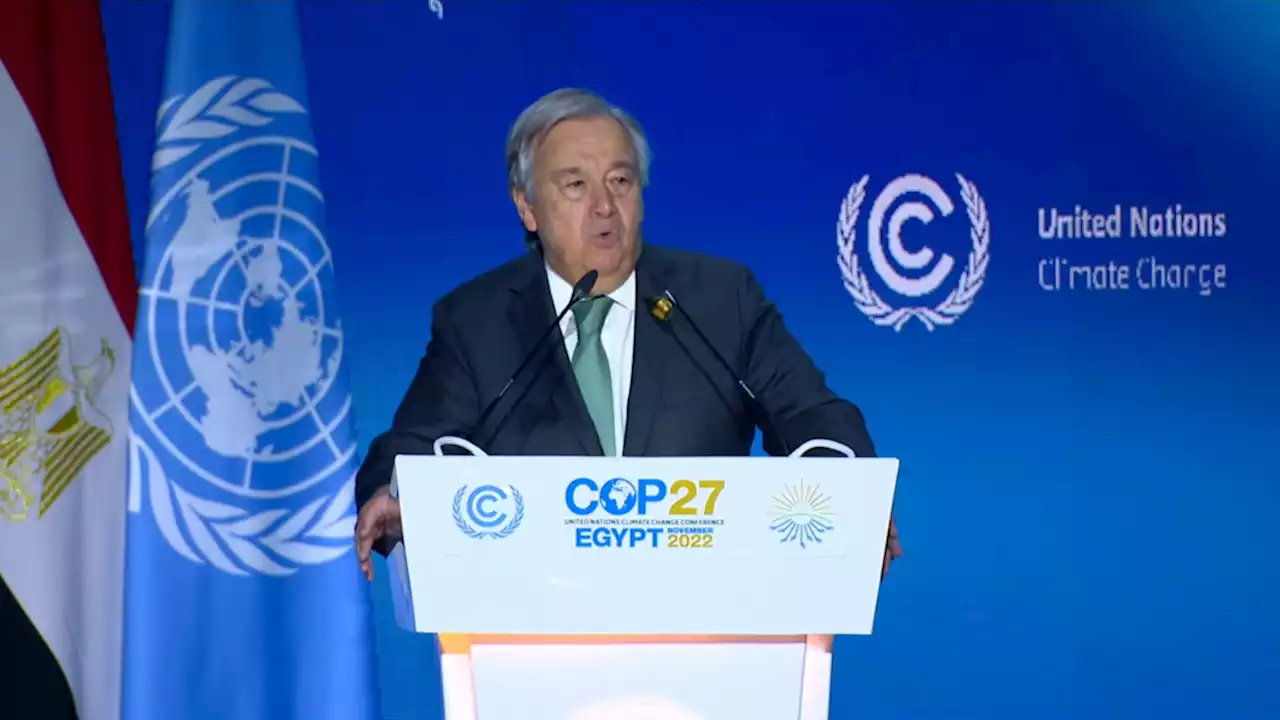 COP27: We’re on a highway to climate hell, UN boss says