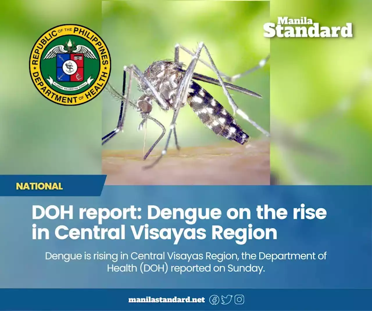 DOH report: Dengue on the rise in Central Visayas Region