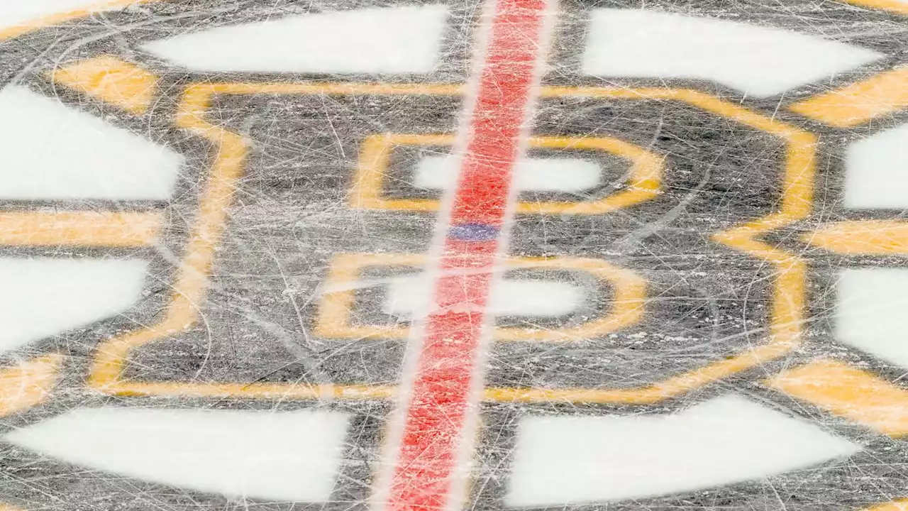 Bruins Cut Ties With Controversial Defenseman Mitchell Miller, Apologize to Victim's Family