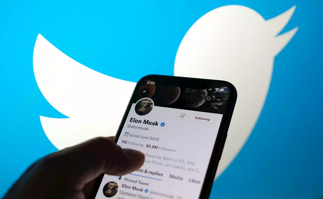 Elon Musk to 'permanently suspend' certain Twitter parody accounts