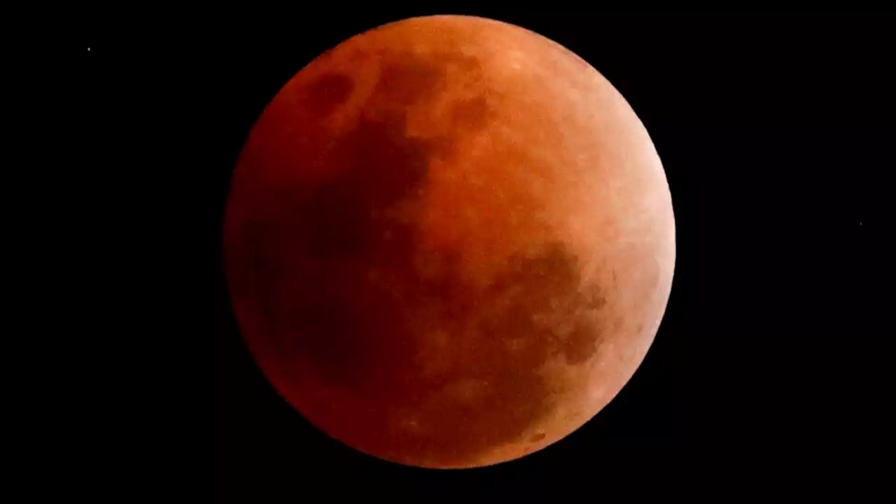 Eclipse lunar de noviembre: cuándo, dónde y cómo verlo | 'Luna de Sangre'