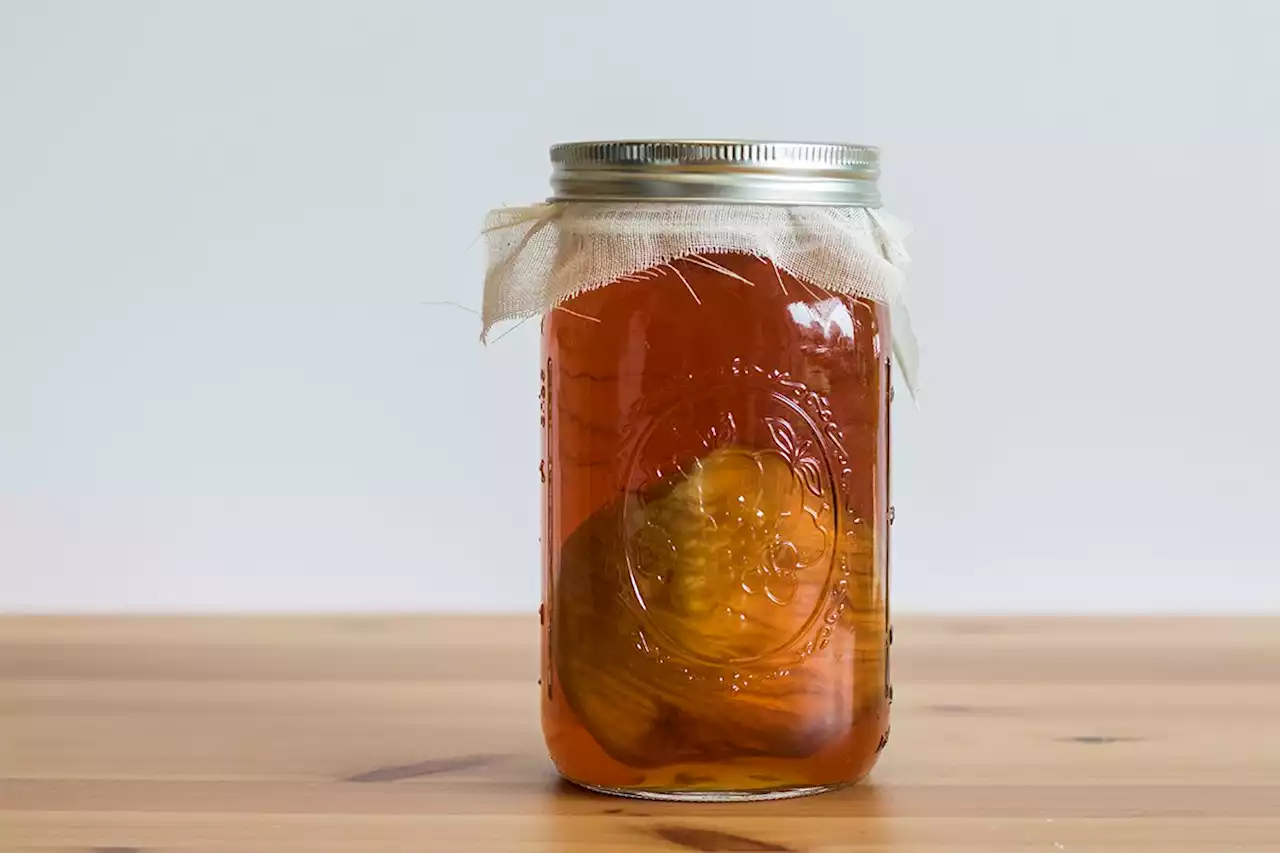 Hacer kombucha en casa es mucho más sencillo de lo que crees