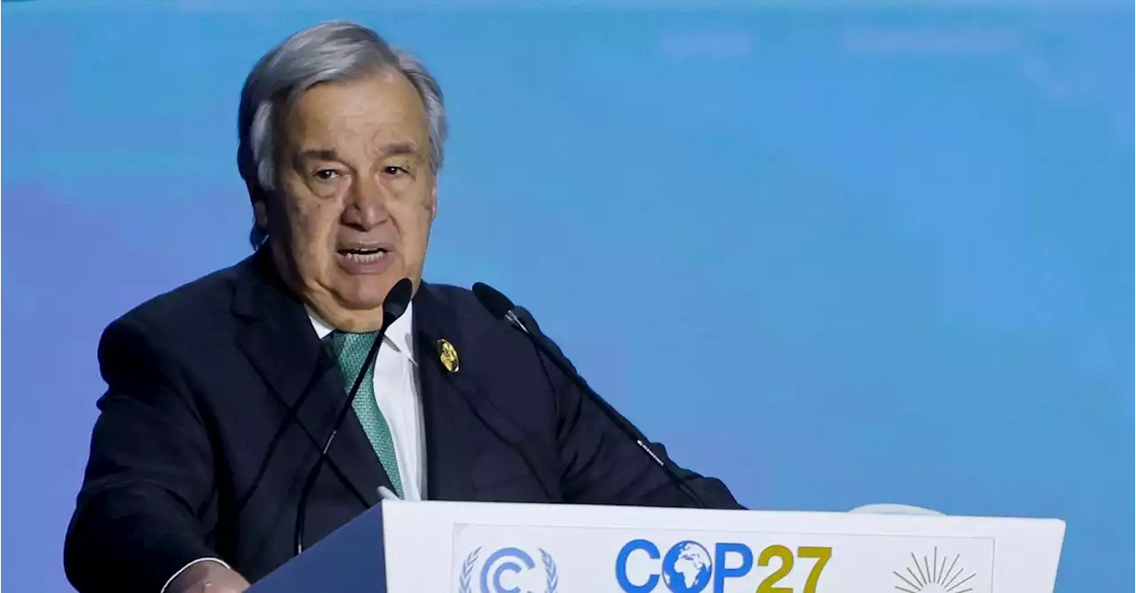 COP27: What are they saying at the climate summit?