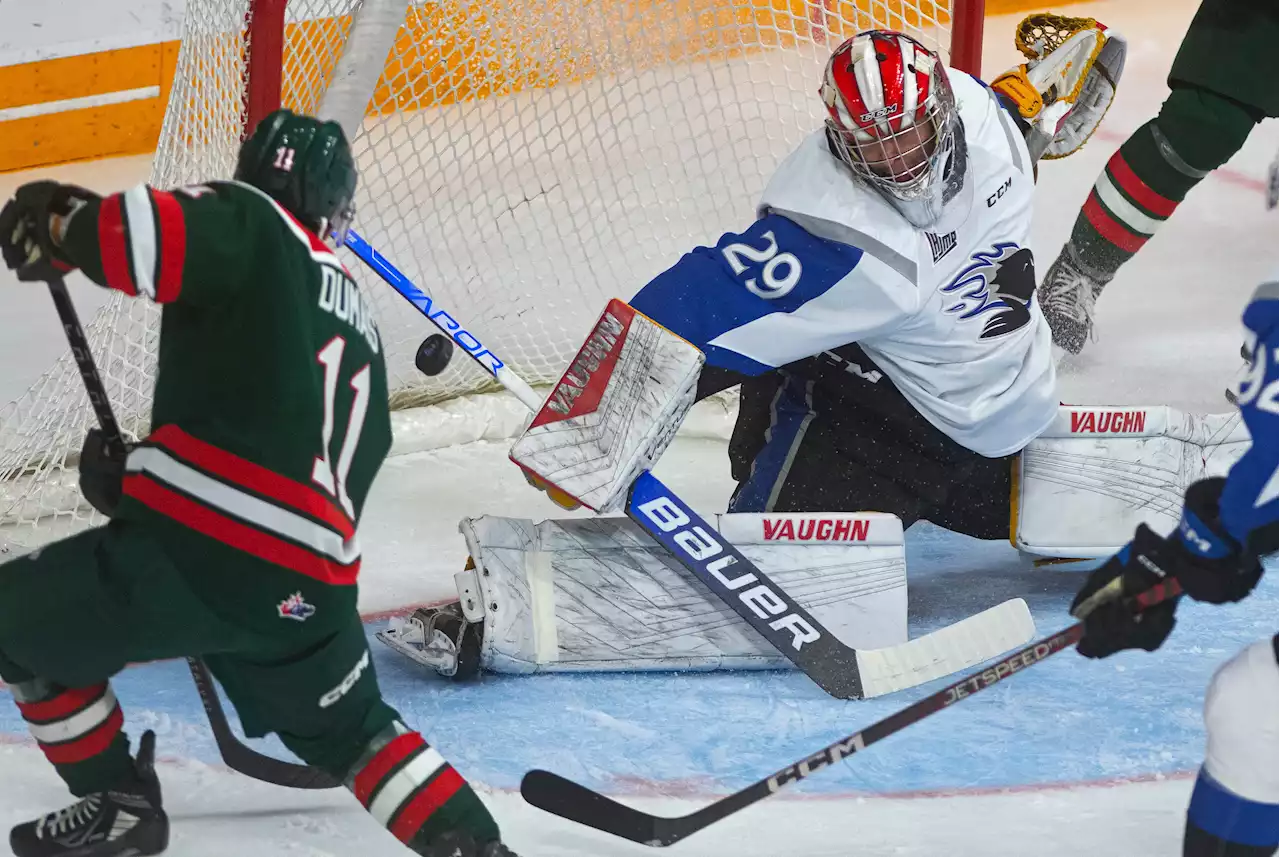 FIVE MOOSEHEADS NOTES: Rousseau perfect, Dumais with three more goals, defence stepping up | SaltWire