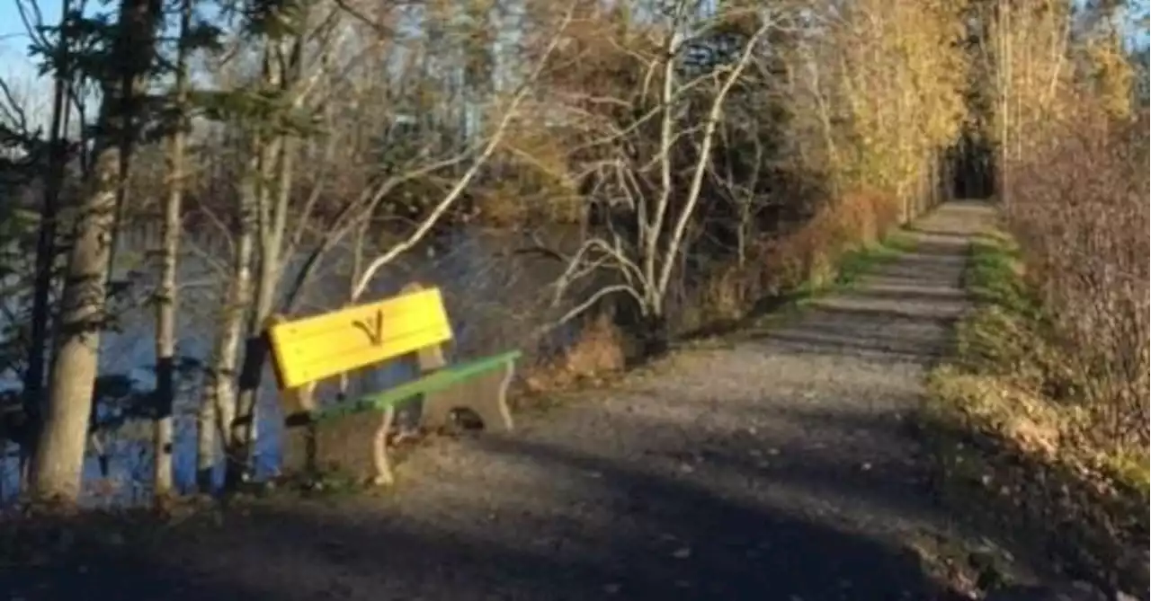 WEATHER PHOTO: A walk in the park in Wolfville, N.S. | SaltWire