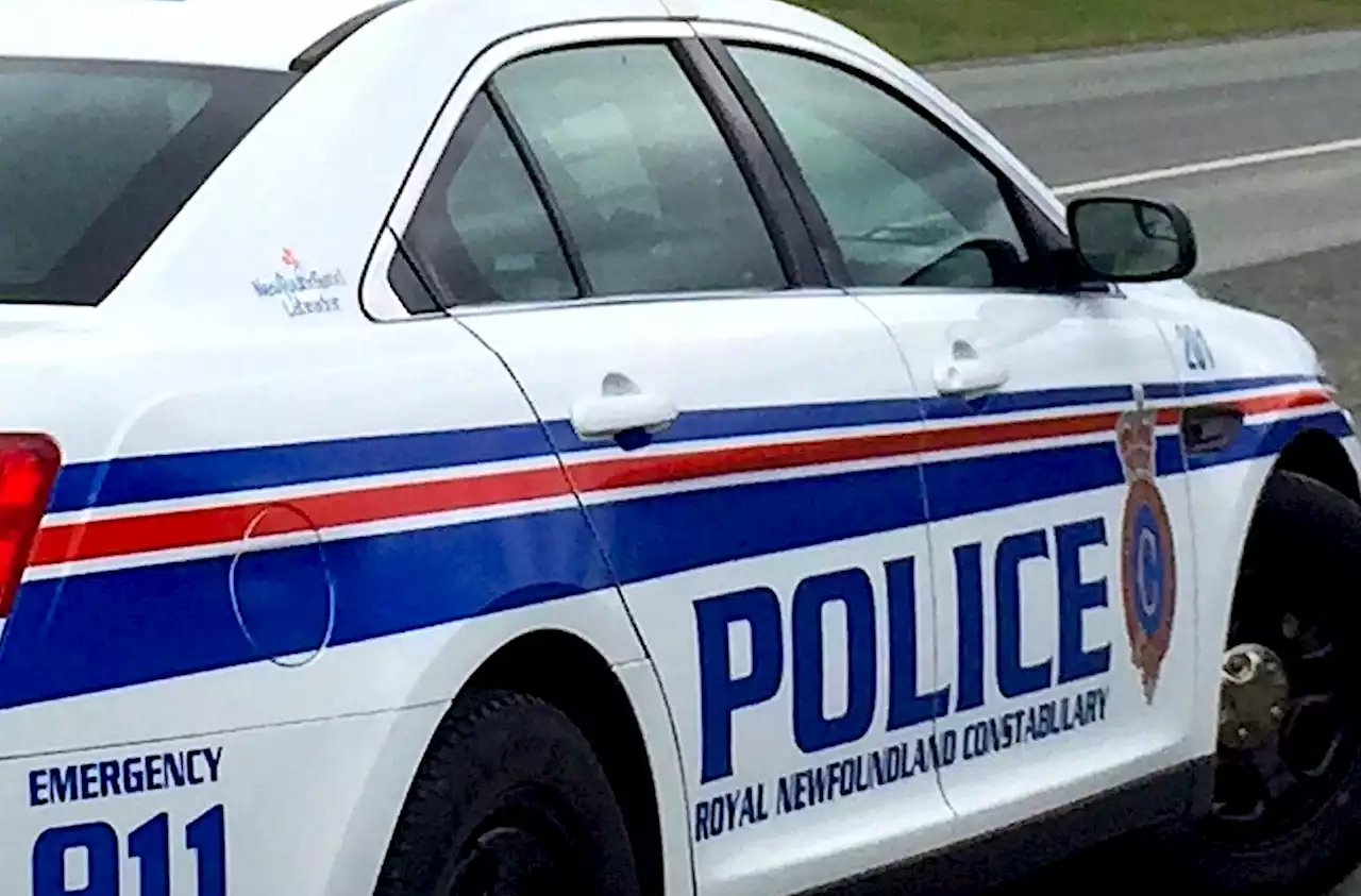 Two women charged after scuffle with RNC officer during traffic stop in St. John's | SaltWire