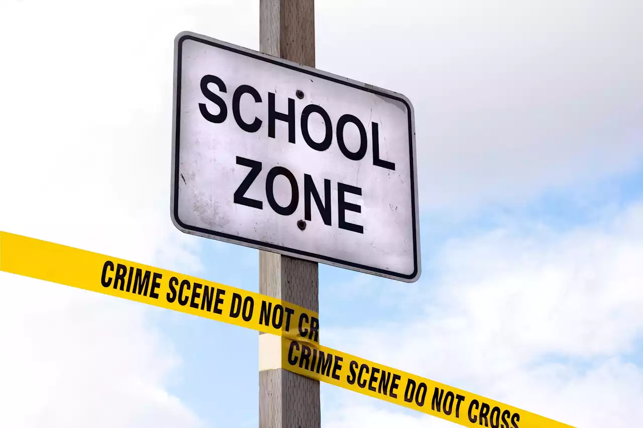 Columbia Mass Murder Database Reveals Mass School Shootings Are Not Caused by Mental Illness