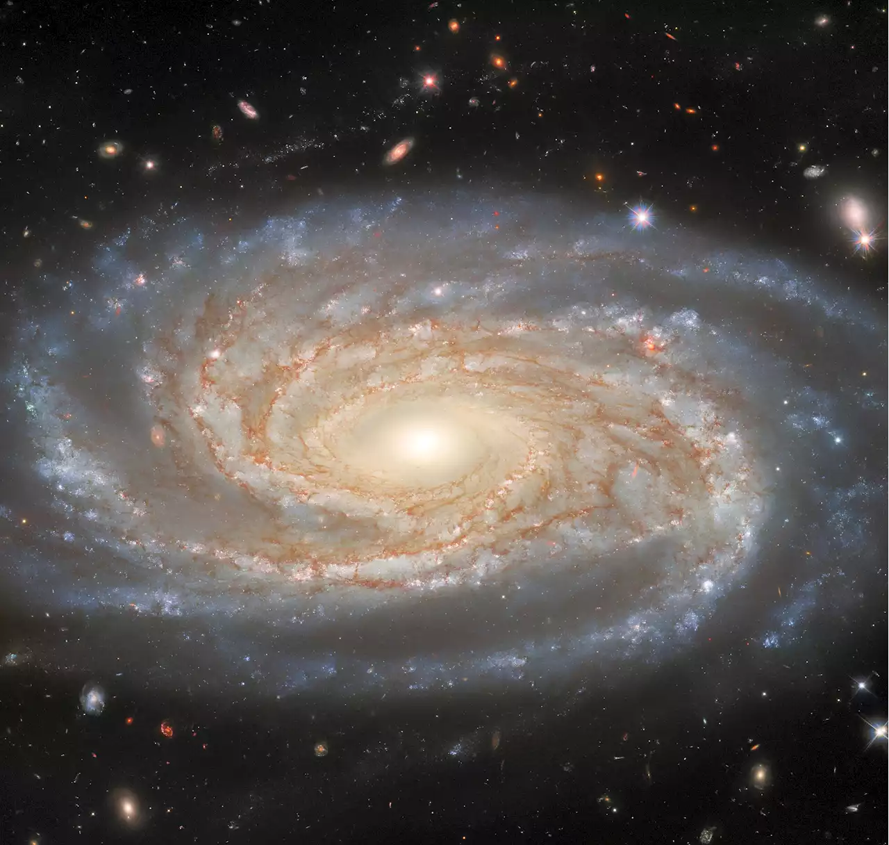 Hubble Space Telescope Investigating a Made-to-Measure Galaxy