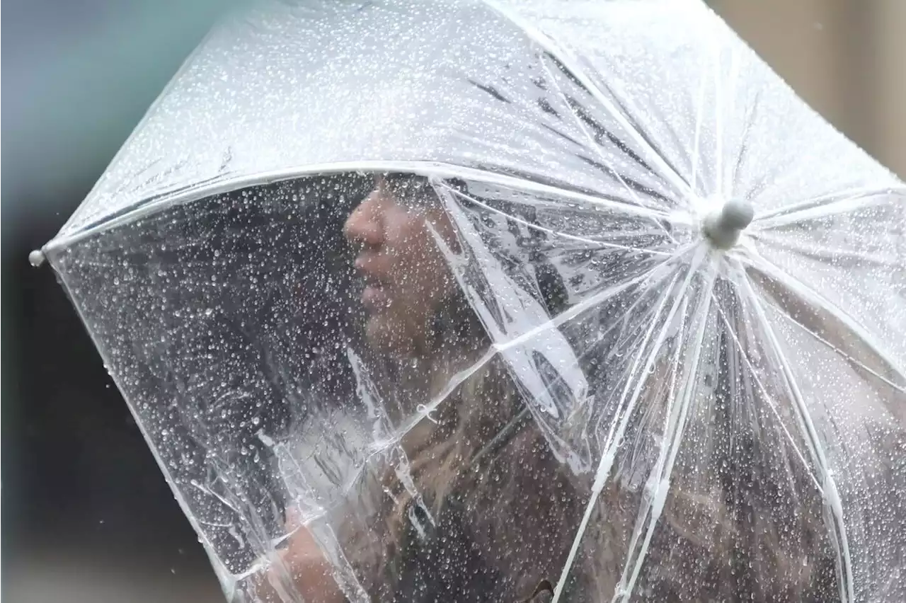 'Storm door is open': When to expect more rain in the SF Bay Area