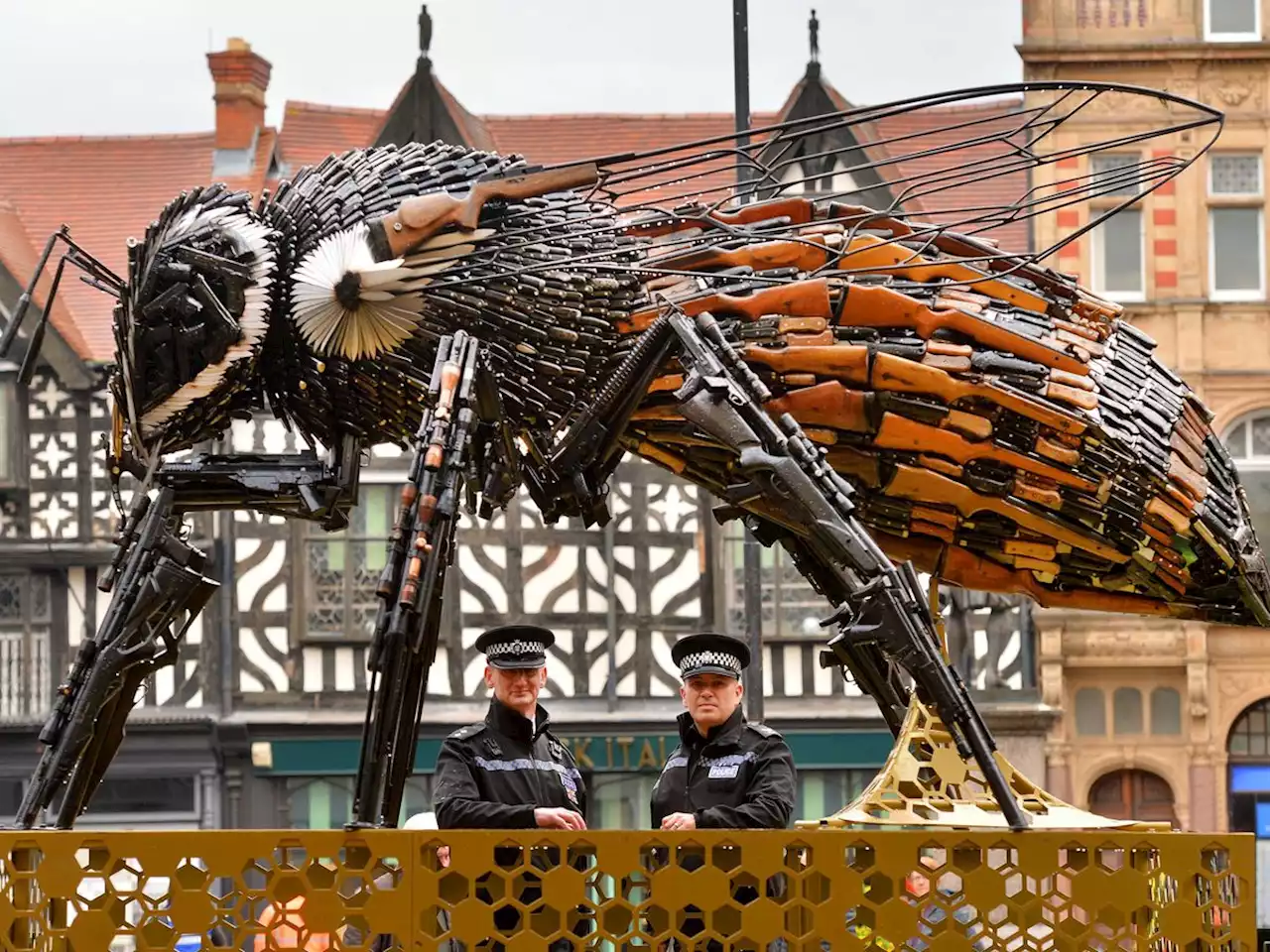 Take a look at anti-violence bee sculpture creating a buzz in Shropshire