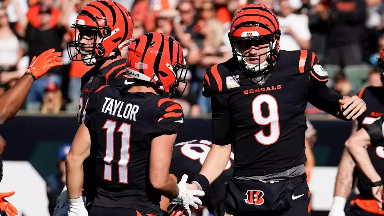 Watch: Bengals Punctuate Interception With Massive Snow Angels Celebration